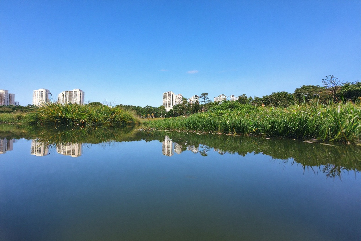Bishan-Ang Mo Kio Park river and parkland, under a kilometre straight-line from Thomson Reserve